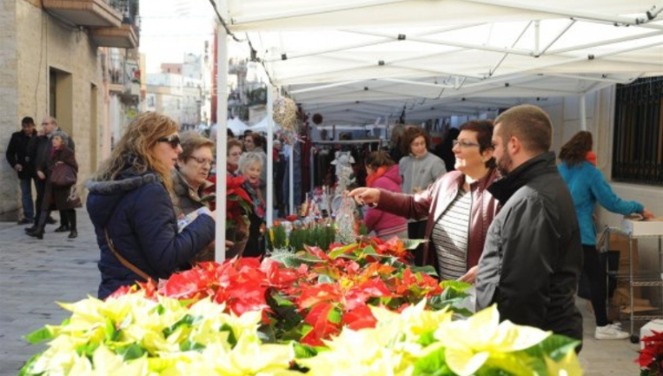 Mercat de Sta Llúcia 