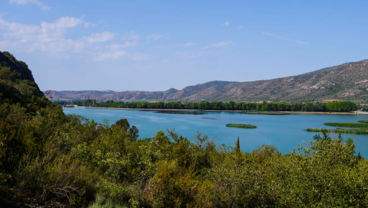  pantà de les arengades