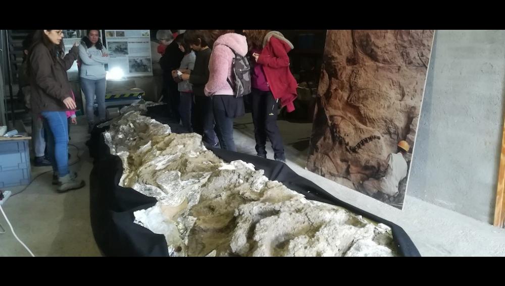 Parc Cretaci Museu Conca Dellà 