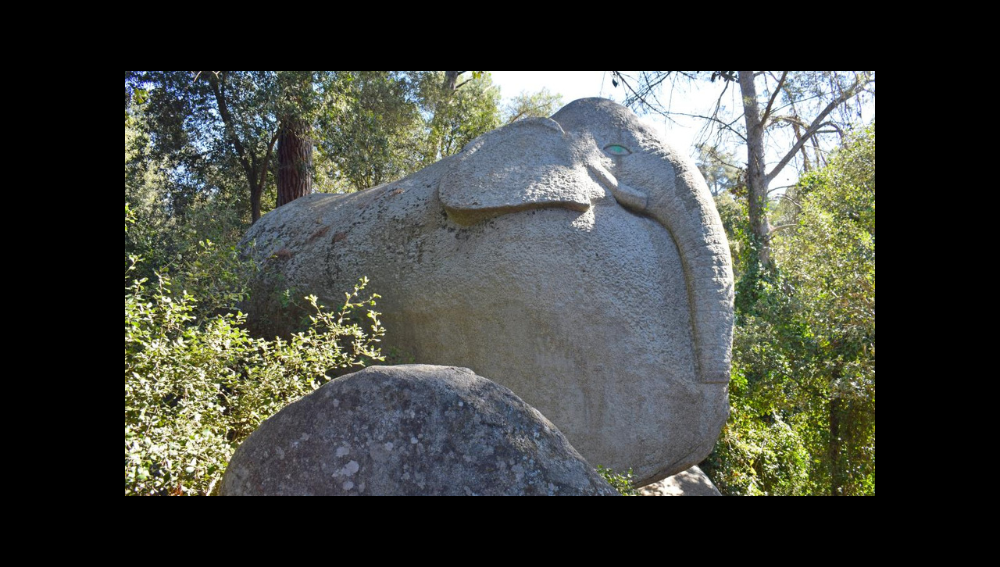 Festa de les bruixes