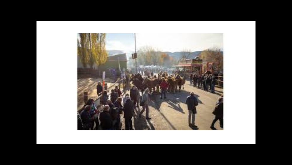 Fira de Primavera de Puigcerdà