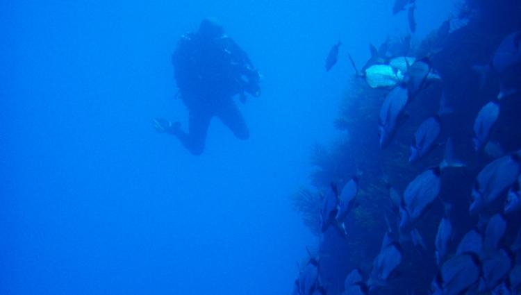 Poseidon Nemrod Diving 